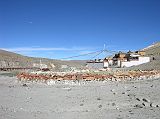 Tibet Kailash 06 Tirthapuri 14 Gompa and Circle of Mani Stones Outside the Guru Rinpoche (Tirthapuri) Gompa is a large circle of mani stones marking the spot where the gods danced in joy when Guru Rinpoche was enshrined at Tirthapuri. Note the mountains of India on the horizon.